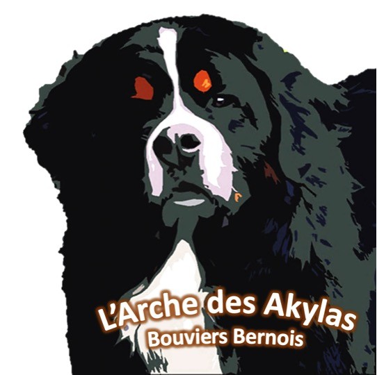 De L'arche Des Akylas